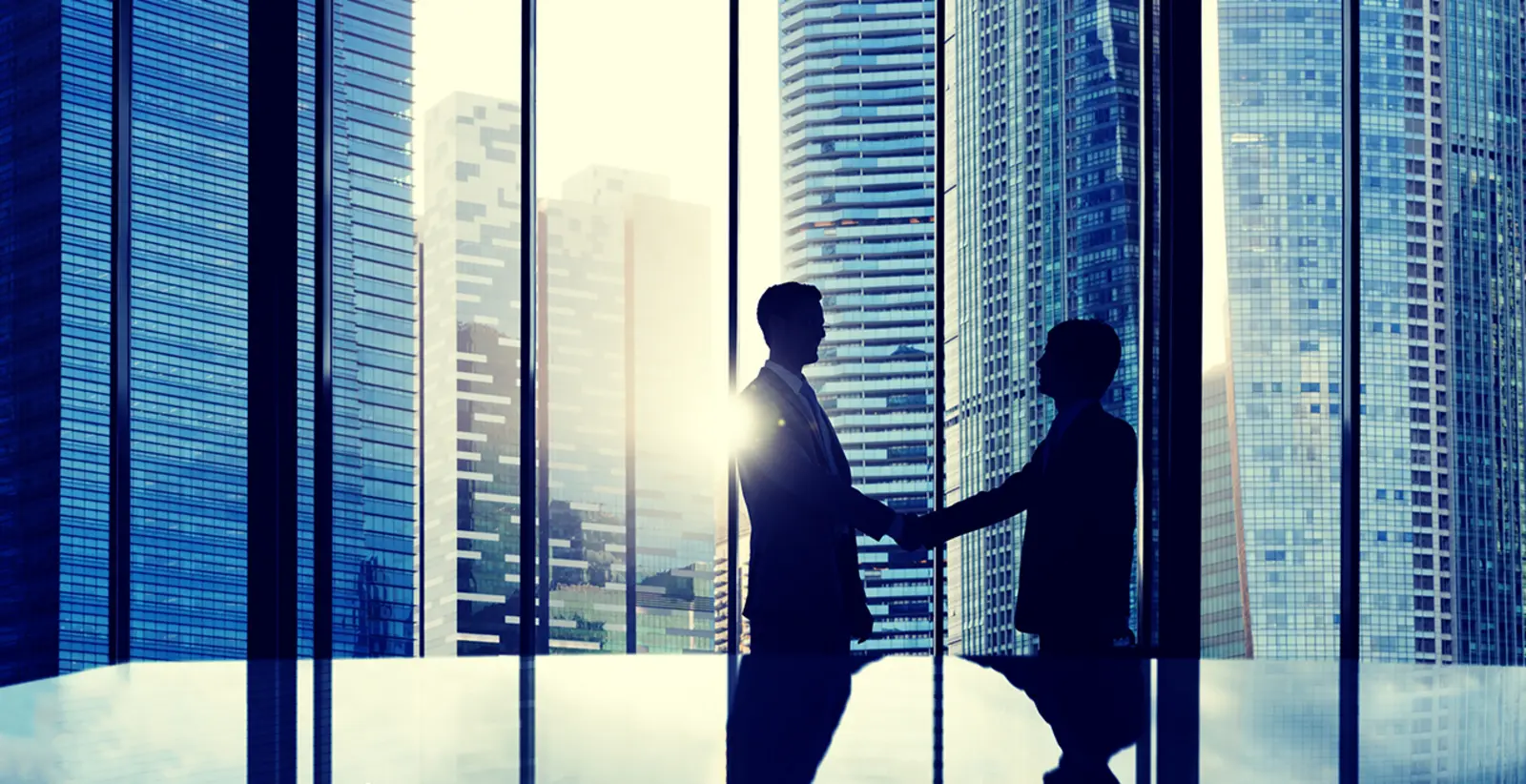 Nuestras competencias